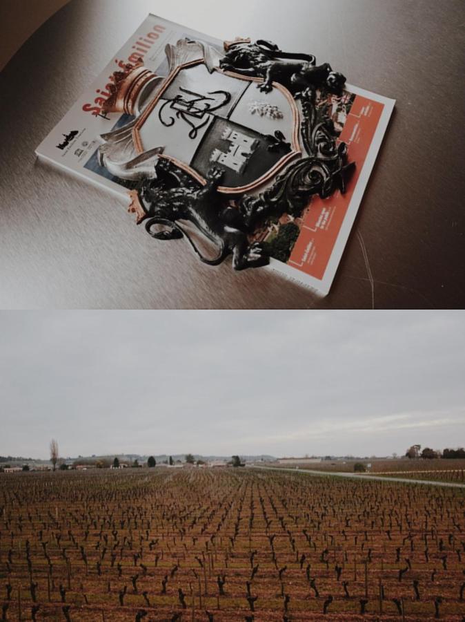 Clos De Bertinat Saint-Sulpice-de-Faleyrens Eksteriør billede