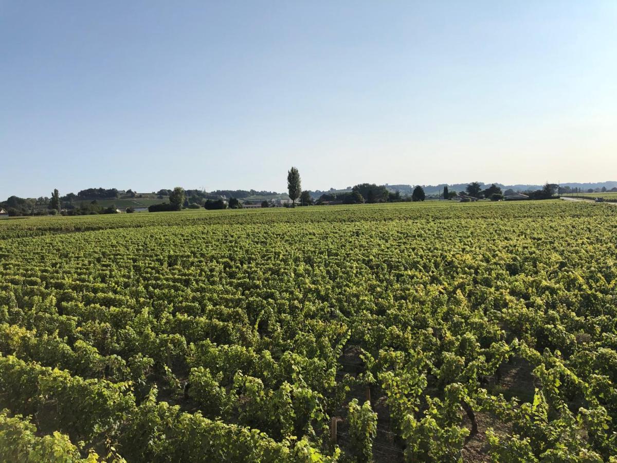 Clos De Bertinat Saint-Sulpice-de-Faleyrens Eksteriør billede
